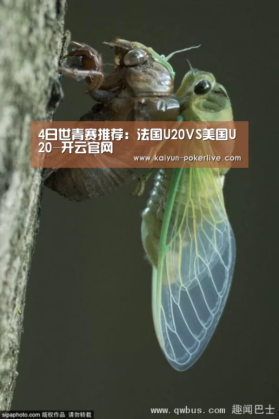 4日世青赛推荐:法国U20VS美国U20-开云官网(图1) 开云官网