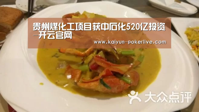 贵州煤化工项目获中石化520亿投资-开云官网(图2) 开云官网