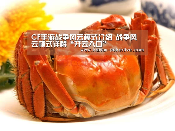 CF手游战争风云模式介绍 战争风云模式详解“开云入口”(图2) 开云入口