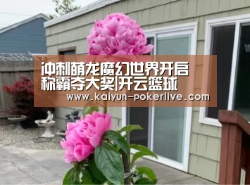冲刺萌龙魔幻世界开启 称霸夺大奖|开云篮