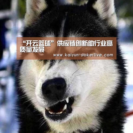 “开云篮球”供应链创新助行业高质量发展(图2) 开云官网