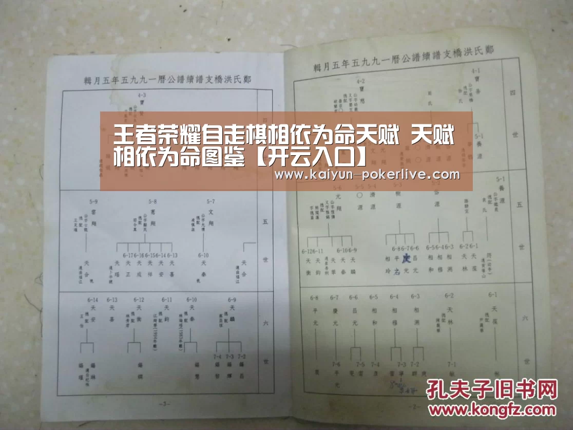 王者荣耀自走棋相依为命天赋 天赋相依为命图鉴【开云入口】(图1) 开云官网