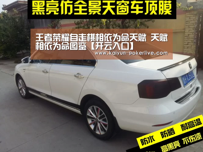 王者荣耀自走棋相依为命天赋 天赋相依为命图鉴【开云入口】(图2) 开云官网